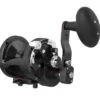 Avet MXL Raptor Plus Lever Drag Conventional Reels -Fishing Tackle Sale avet mxl raptor plus lever drag conventional reels 96139.1715098633