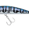 Daiwa Saltiga Cuddler Lures -Fishing Tackle Sale daiwa saltiga cuddler lures 65995.1738947595.386.513