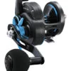 Daiwa Saltist Star Drag Conventional Reels 2 Daiwa Saltist Star Drag Conventional Reels -Fishing Tackle Sale daiwa saltist star drag conventional reels 92187.1696738500