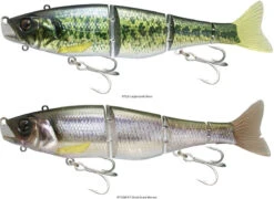 Jackall Gantia Swim Bait 10 Jackall Gantia Swim Bait -Fishing Tackle Sale jackall gantia swim bait 32153.1696957941