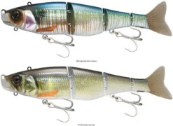 Jackall Gantia Swim Bait 11 Jackall Gantia Swim Bait -Fishing Tackle Sale jackall gantia swim bait 39878.1696957941