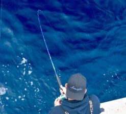 Lamiglas Bluewater Series Rods -Fishing Tackle Sale lamiglas bluewater series rods 85497.1696907560