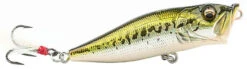Megabass PopX Top Water Popper