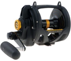 Penn Squall Lever Drag 2-Speed Conventional Reels
