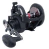 Penn Warfare Star Drag Conventional Reels