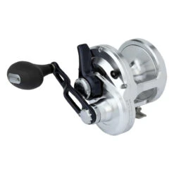 Shimano Talica BFC TAC20BFC Billfish Lever Drag Reel
