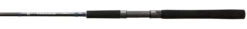 Shimano Teramar Northeast Spinning Rods 11 Shimano Teramar Northeast Spinning Rods -Fishing Tackle Sale shimano teramar inshore northeast spinning rods 76847.1731447067