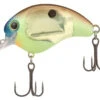 Shimano World Rush Square Bill Crankbait - Copper Back 1 Shimano World Rush Square Bill Crankbait - Copper Back -Fishing Tackle Sale shimano wr56fcb world rush square bill crankbait 01962.1697349626