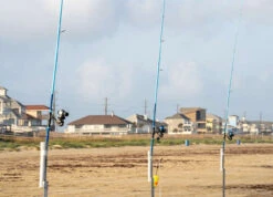 Temple Fork Tidal Force Surf Spinning Rods -Fishing Tackle Sale temple fork outfitters tidal force surf spinning rods 31718.1761862145