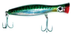 Tsunami Platinum Surface Blaster Lures 12 Tsunami Platinum Surface Blaster Lures -Fishing Tackle Sale tsunami platinum surface blaster lures 49804.1697072025