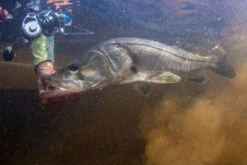 Van Staal VR Spinning Reels -Fishing Tackle Sale van staal vr series spinning reels 54280.1697075216